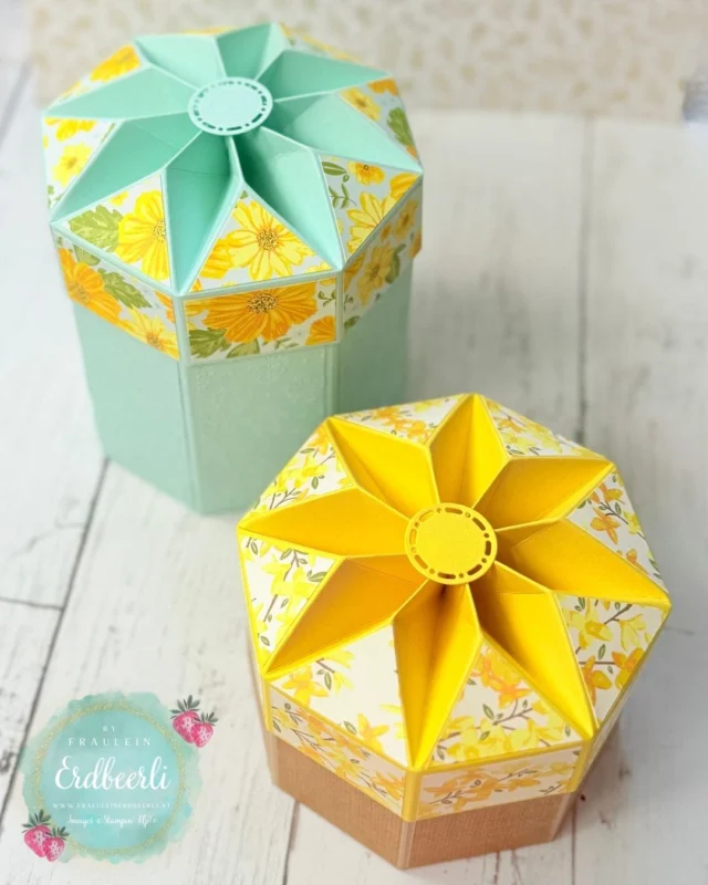 ✨ Du hast meine Sternenbox schon gesehen? Heute zeige ich dir zwei andere Varianten mit dem hübschen DSP Blumen nach Wunsch. Außerdem hab ich die Höhe angepasst! Gefallen Sie dir? Anleitung und Video gibt es auch dazu - einfach den Beitrag kommenteiren :)⁣
🎁 Und denk dran: Bis 18. Mai bekommst du ab 50 € Bestellwert meine kreative Mystery Box kostenlos mit deiner Bestellung!💌⁣
✨⁣
✨⁣
✨⁣
#sternenbox #kreativfreude #stampinup #diyverpackung ⁣⁣
#KreativerPapierMix #Papershare⁣⁣
#InColorClub2025 #InColorsStampinUp #StampinUpIncolors #stampinup #neueprodukte #StampinUpCrafts #PapercraftTutorials #StampinUpTutorial #HandmadeCrafts #CreativeStampinUp #DIYCrafts #StampinUpProjects #CraftingIdeas #Bastelspaß #Kreativstündchen #Bastelideen #HandgemachtMitLiebe #KreativitätTeilen #StampinUpDemo #StampinUpDemonstrator #StampinUpEurope #StampinUpÖsterreich #StampinUpDeutschland